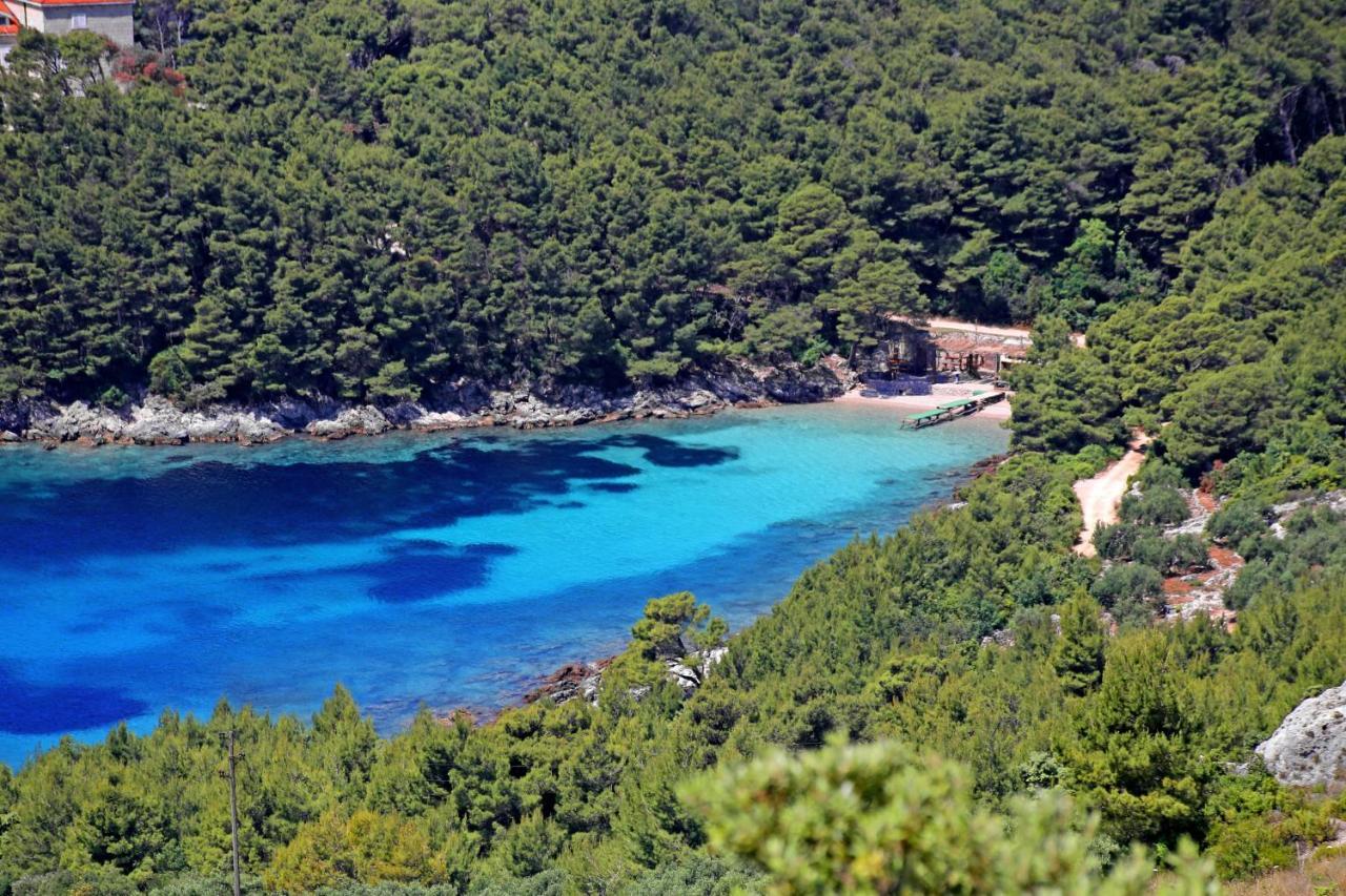 Apartments By The Sea Luka Dubrava, Peljesac - 14040 Putniković Zewnętrze zdjęcie